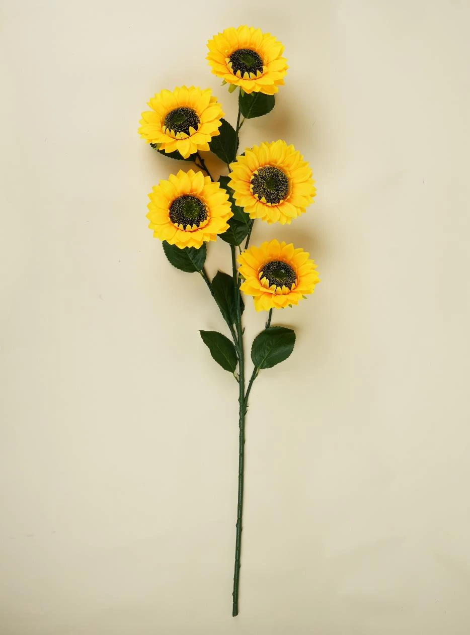 Sunflower Big Stick